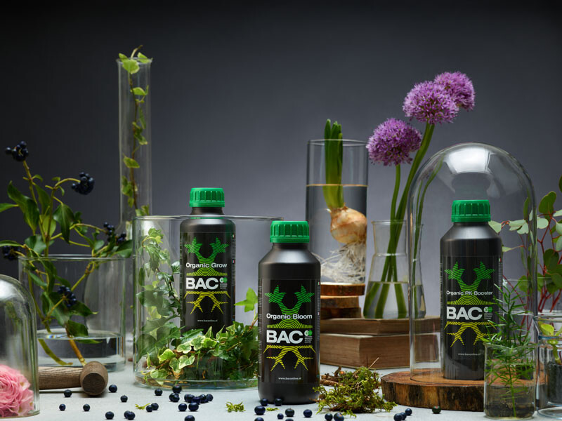 Bac ecocert