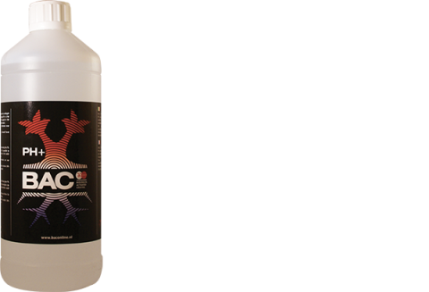 Ph%2B